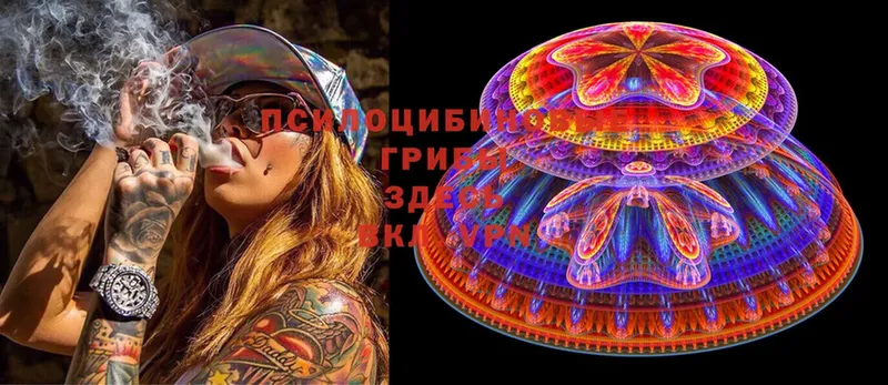 Купить наркотики сайты Алушта Марихуана  LSD-25  ГАШИШ  Меф мяу мяу  Галлюциногенные грибы 